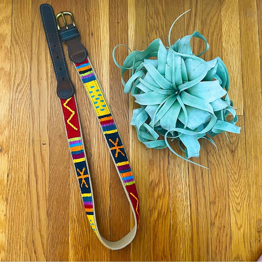 A Tail We Could Wag Colorful Belt